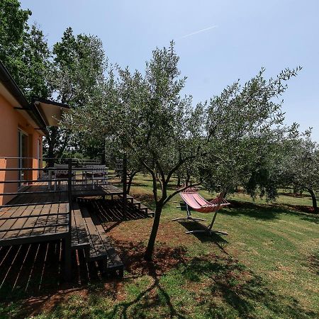 Sun Garden Premium Apartments Врсар Екстер'єр фото